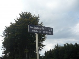 Schnepfenried - 1070m