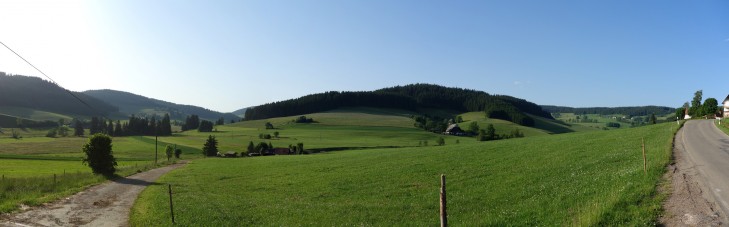 Schwachzwald Panorama